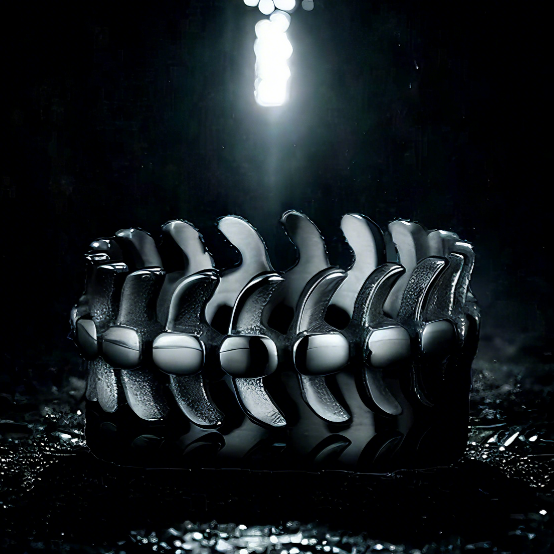 SPINE OF THE WARDEN