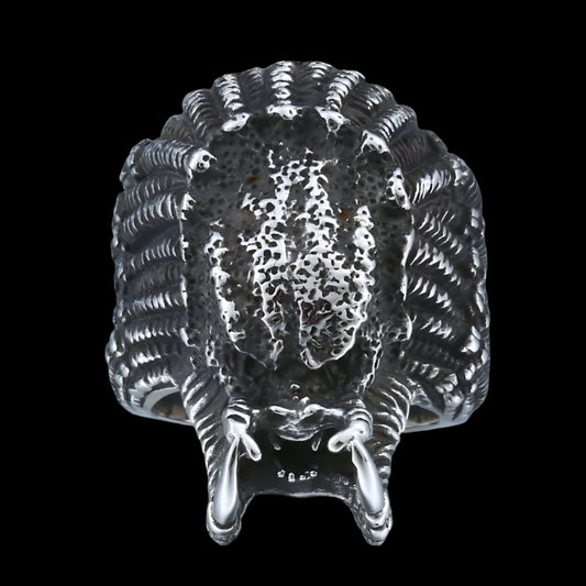 ALIEN PREDATOR